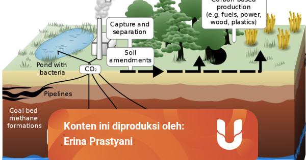 Carbon Dioxide Sequestration Solusi Atasi Global Warming Kumparan Com