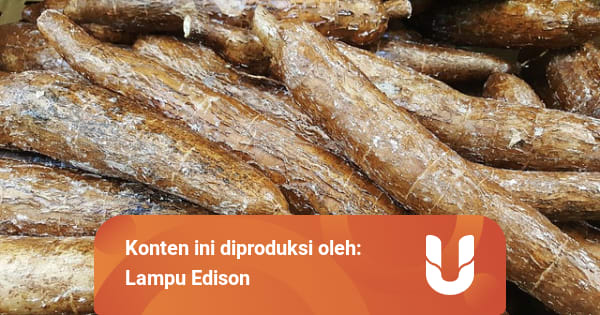 Mengenal Bahan Makanan Lokal Yang Sehat dan Begizi ...