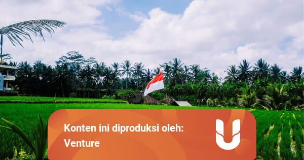 Sudah Sejauh Mana Perkembangan Pertanian Indonesia Kumparan Com