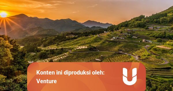 4 Upaya Meningkatkan Produktivitas Pertania Kumparan Com