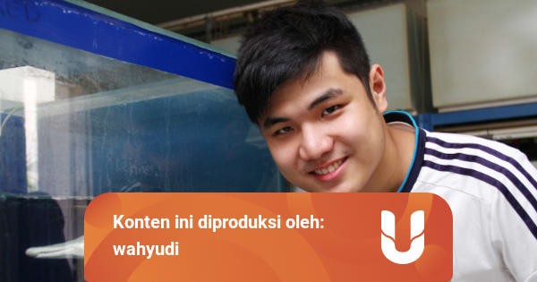 Kisah Inspiratif Nicholas Kurniawan Eksportir Ikan Hias Sukses Termuda Di Indonesia Kumparan Com Kisah Inspiratif Nicholas Kurniawan Eksportir Ikan Hias Sukses Termuda Di Indonesia Kumparan Com