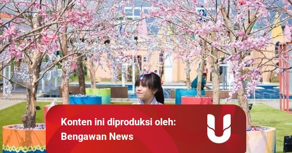 Taman Bunga Celosia Tempat Wisata Menarik Ala Korea Selatan Kumparan Com