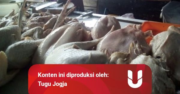 Harga Daging Ayam di Gunungkidul Mulai Melonjak Capai Rp ...