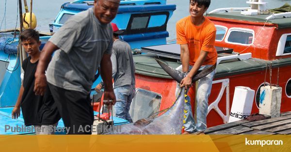 Mulai Pulih dari Corona, Cina dan Jepang Kembali Minta Pasokan Ikan dari Aceh - kumparan.com - kumparan.com