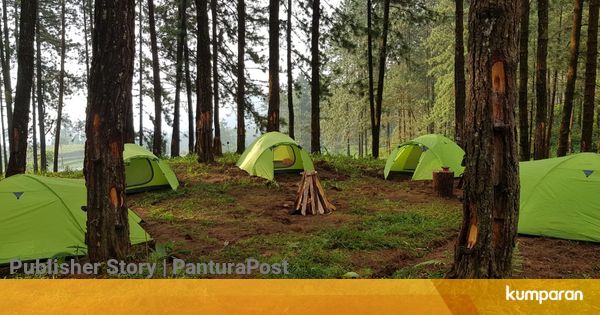 Berkemah di Hutan Pinus Lereng Gunung Slamet, Kabupaten ...