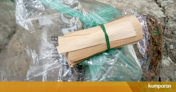 Mengenal 'Hau Lalahe', Rokok Linting Daun Aren Khas 