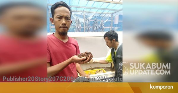 cerita luar negeri bahasa inggris dan artinya Pegiat Bank Sampah di Sukabumi Kami Bermimpi Bisa Ekspor cerita luar negeri bahasa inggris dan artinya Pegiat Bank Sampah di Sukabumi Kami Bermimpi Bisa Ekspor