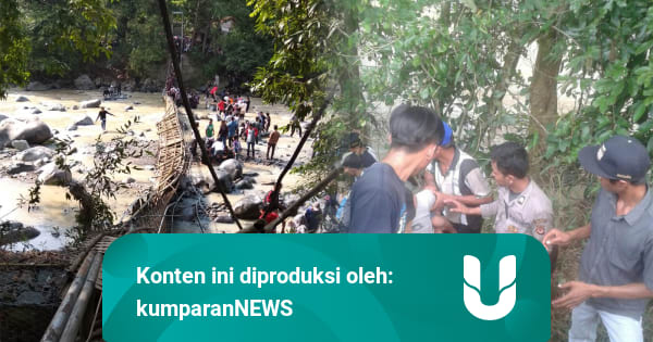 Jembatan Gantung di Penangkaran Rusa Cariu Bogor Putus, 30 ...