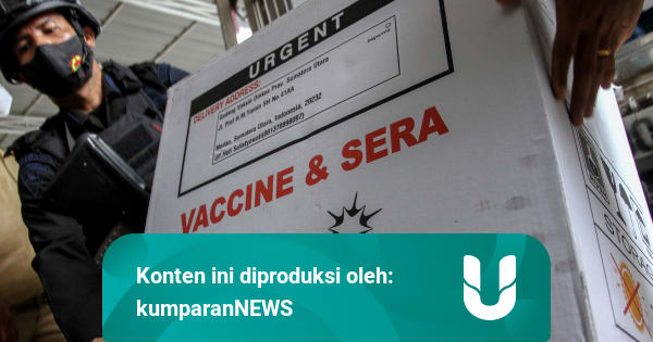 Kehalalan Vaksin Sinovac Diputuskan Hari Ini - kumparan.com