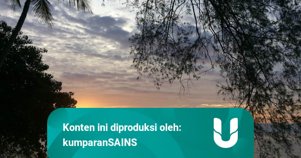Hilangnya Ombak Cantik di Pulau Nias Pasca Gempa dan ...
